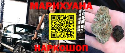 прущие грибы Нальчик