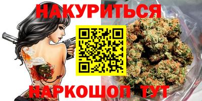 прущие грибы Нальчик