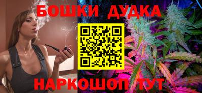 прущие грибы Нальчик