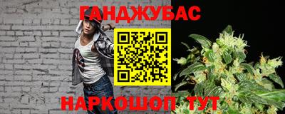 прущие грибы Нальчик